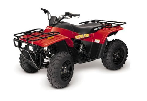 Product picture Arctic Cat ATV service manual repair 2001 250/300/400/500