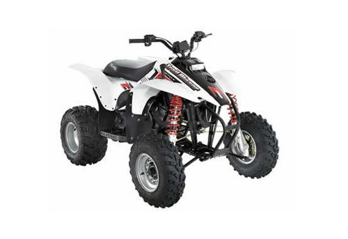 Product picture Polaris TrailBlazer 250 service manual repair 2004-2006