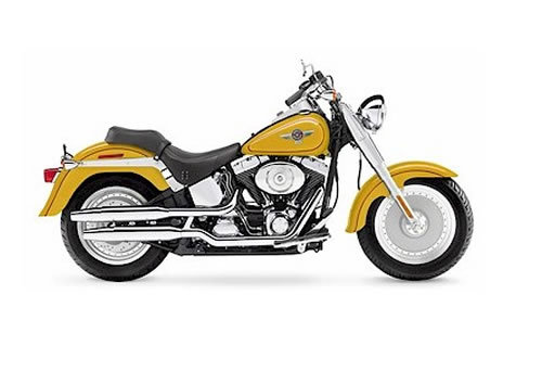 Product picture Harley Davidson Softail models service manual repair 2006 FLST FXST