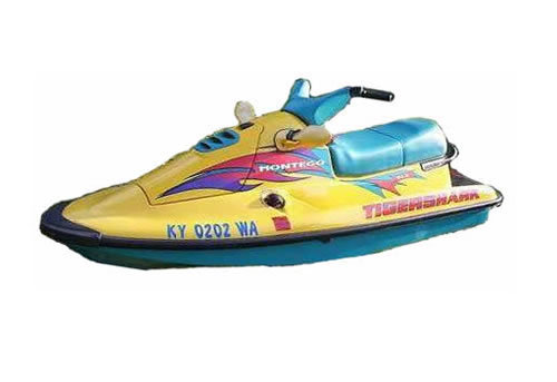 Product picture Arctic Cat Tigershark service manual repair 1996 PWC